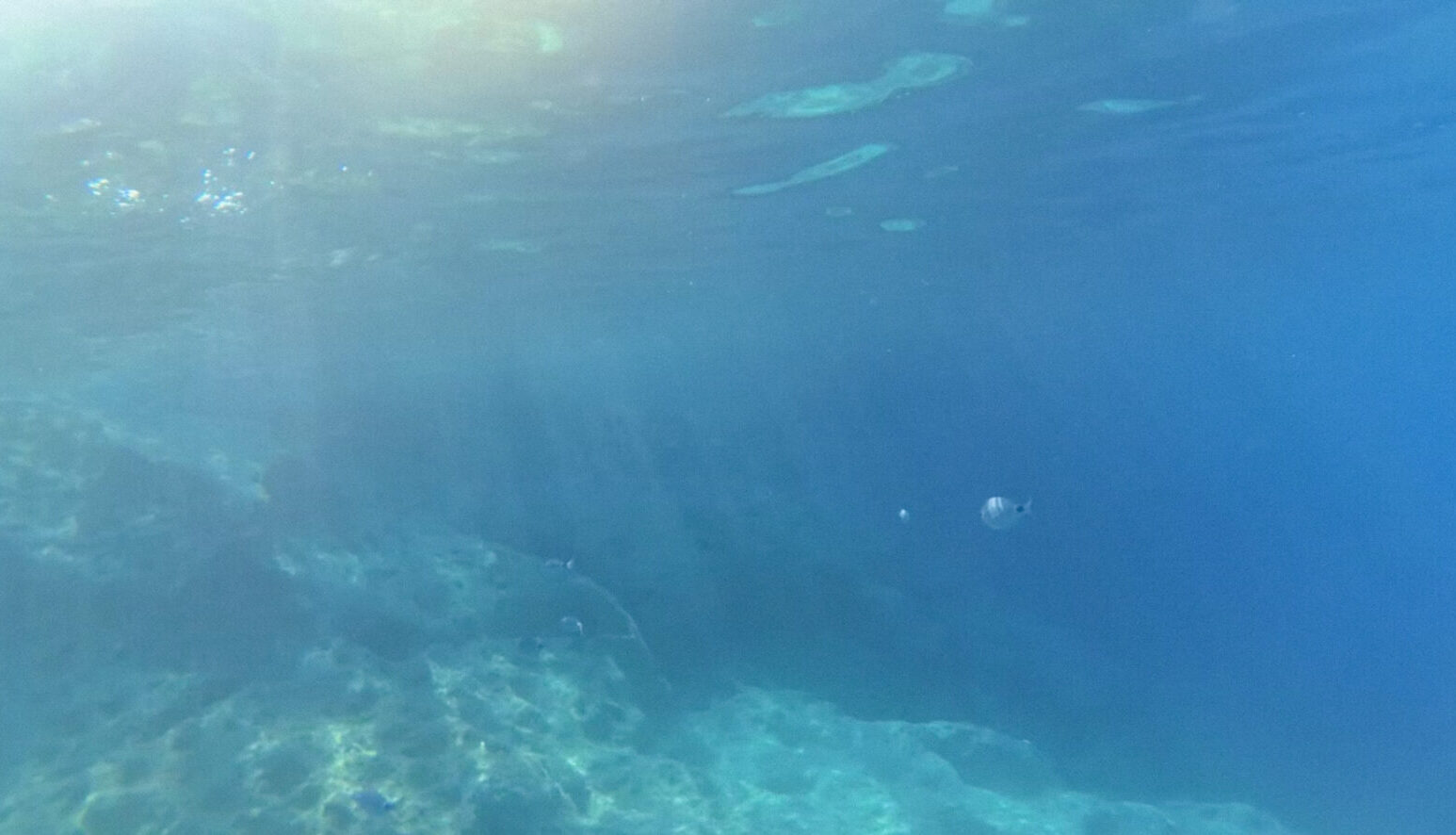 Travel guide to zakynthos