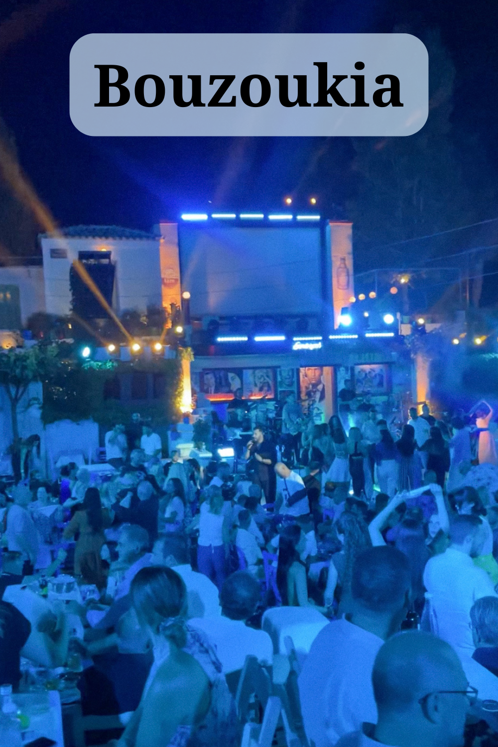 Bouzoukia