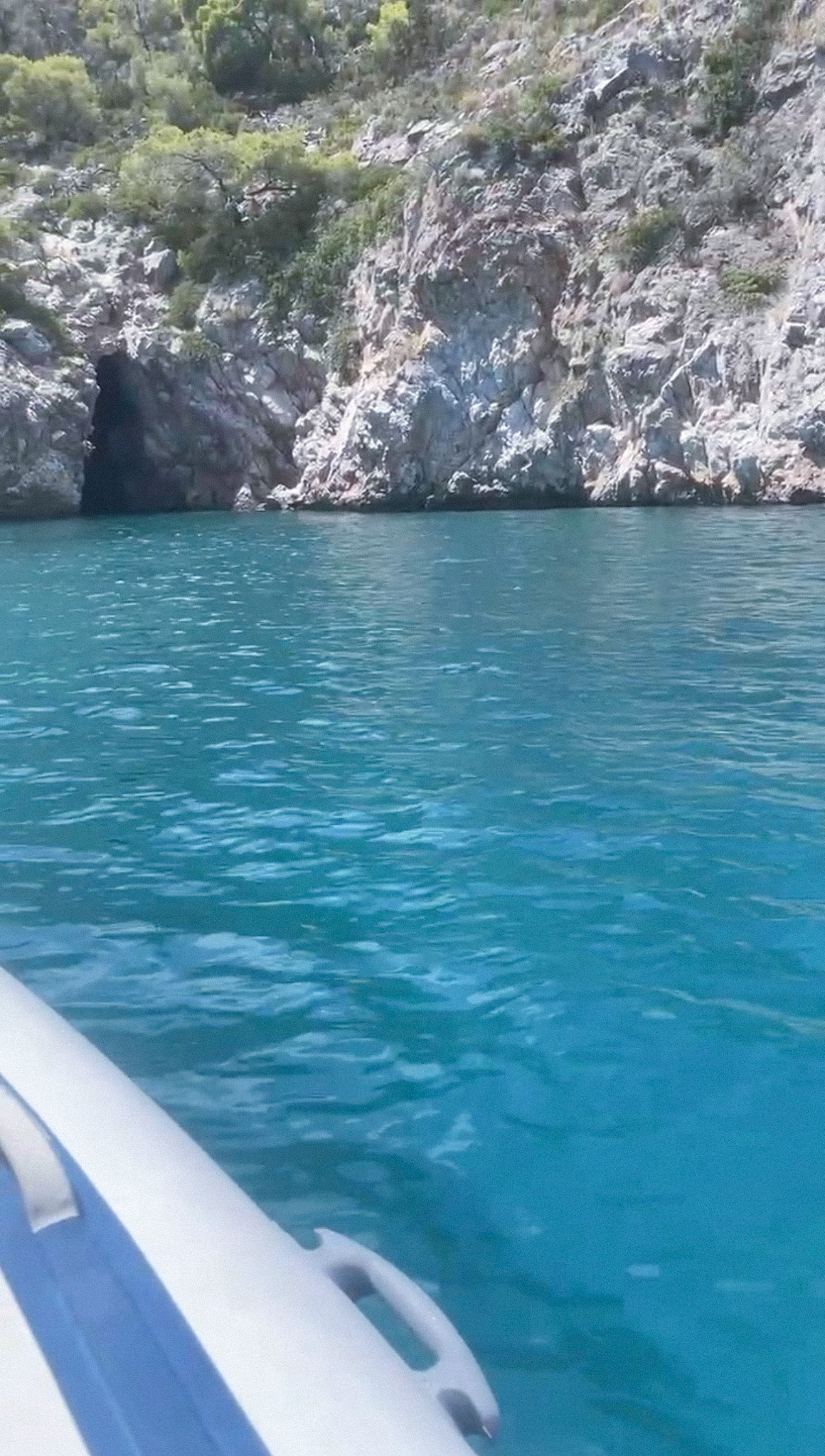island boat tours