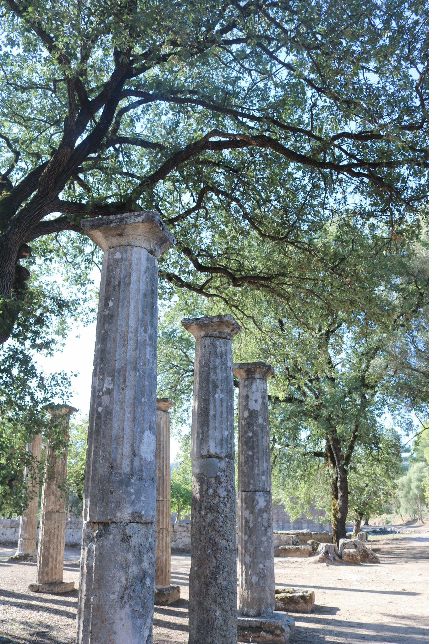 Olympia travel guide